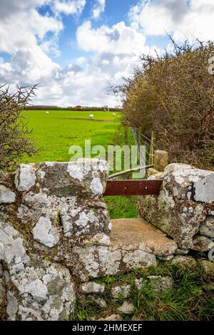 Ty Newydd camera di sepoltura, un dolmen neolitico situato vicino al villaggio di Llanfaelog sull'isola di Anglesey in Galles* Foto Stock