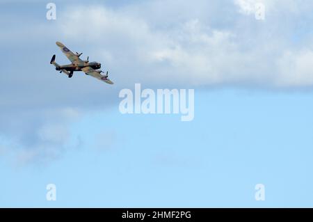 'Thumper' dal BBMF su Dawlish. Foto Stock