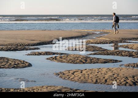 Un escursionista sulla spiaggia a bassa marea con piscine di marea, Juist Island, bassa Sassonia Wadden Sea, Mare del Nord, Frisia orientale, bassa Sassonia, Germania Foto Stock