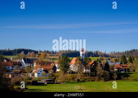 Chiesa parrocchiale San Martino, Doepshofen, perenni, parco naturale Augusta foreste occidentali, Swabia, Baviera, Germania Foto Stock