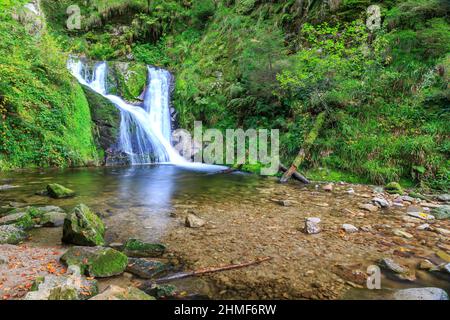 Cascate di All Saints, autunno, Oppenau, Parco Nazionale della Foresta Nera, Baden-Wuerttemberg, Germania Foto Stock