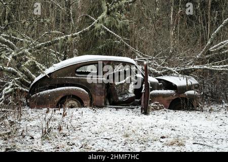 Rottami auto di fronte al paesaggio forestale, Bastnaes auto cimitero, Vaermland, Svezia Foto Stock