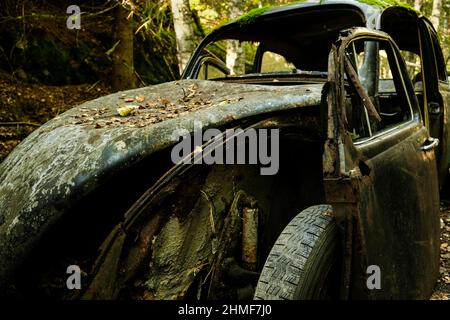 Rottami auto, VW Beetle, cimitero di auto Bastnaes, Vaermland, Svezia Foto Stock