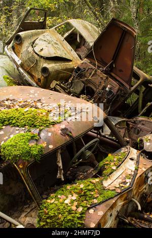 Rottami auto nella foresta, Bastnaes auto cimitero, Vaermland, Svezia Foto Stock