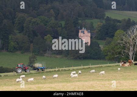 Un paesaggio scozzese in autunno, con pascolo di pecore e bestiame, un contadino che carica balle di fieno su un rimorchio e Craigievar Castello su un Hillside lontano Foto Stock