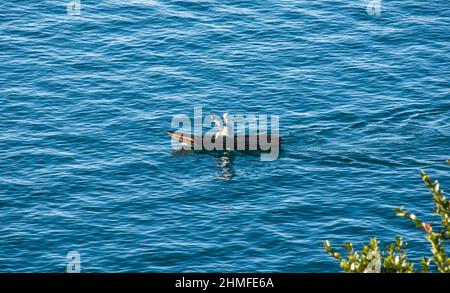 Pescatore di fronte ai vulcani Atitlan e Toliman, Lago Atitlan, Guatemala Foto Stock