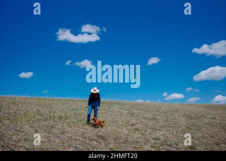 Donna che cammina il suo cane in un campo aperto insieme soleggiato giorno di primavera con cielo blu e nuvole. Foto Stock