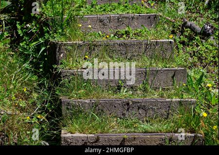 I gradini che sono fatti da cemento ruvido salire su una collina erbosa. Foto Stock