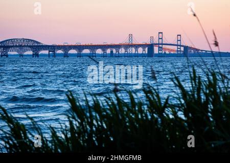 Chesapeake Bay Bridge dal Terrapin Nature Park di Stevensville, Maryland. Foto Stock