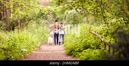 Vista posteriore della coppia con PET Dog camminando lungo il percorso attraverso gli alberi in campagna Foto Stock