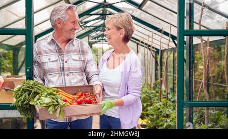 Senior Couple Holding Box di verdure coltivate in casa in serra Foto Stock