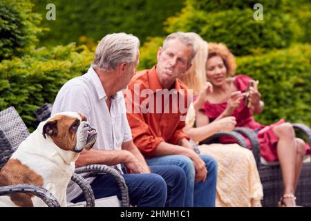 Uomo che fa l'impressione di animale domestico Bulldog seduto all'aperto con gli amici a casa Foto Stock
