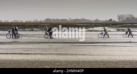 Pêche à pied, coques, hénons, baie de Somme, vélo, tracteur, Foto Stock