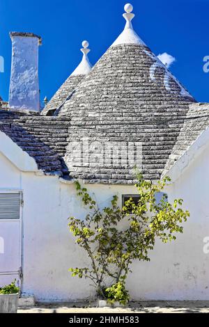 Trulli in Alberobello, Puglia, Italia sotto un cielo blu Foto Stock