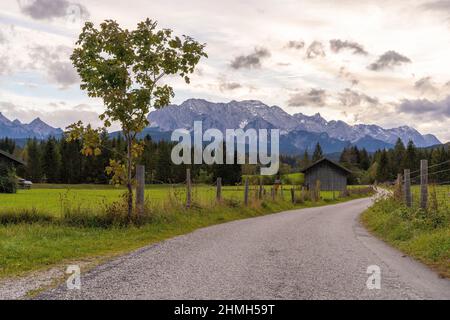 Una strada conduce tra i prati nella foresta, al margine del sentiero si trova un giovane acero e una croce sul sentiero, vicino a Krün, Baviera, Germania Foto Stock