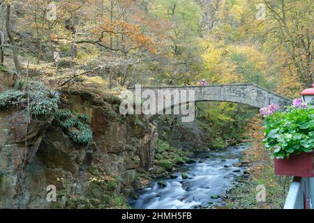 Vista sul fiume Bode al Gasthaus Königsruhe nel Bodetal tra Thale e Treseburg, Harz, Sassonia-Anhalt, Germania Foto Stock