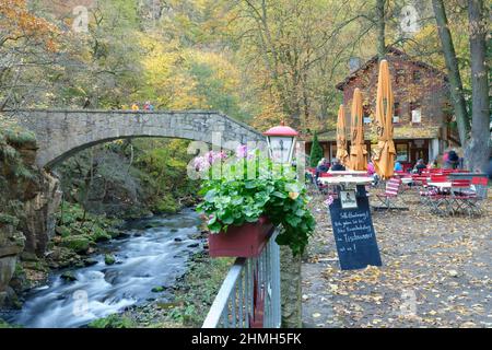 Vista sul fiume Bode e il Gasthaus Königsruhe nel Bodetal tra Thale e Treseburg, Harz, Sassonia-Anhalt, Germania Foto Stock