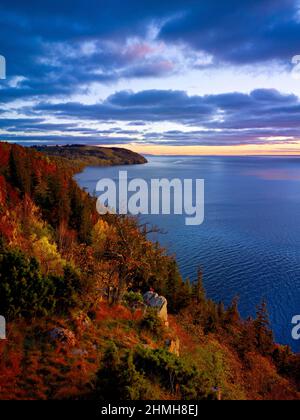 Europa, Svezia, Svezia centrale, provincia di Östergötland, atmosfera serale nella riserva naturale di Omberg sul lago di Vättern, vicino a Vadstena Foto Stock