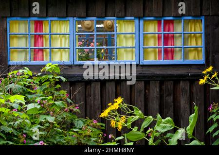 Europa, Svezia, Svezia centrale, provincia di Västergötland, casa colonica con giardino fiorito vicino a Falköping, facciata della finestra Foto Stock