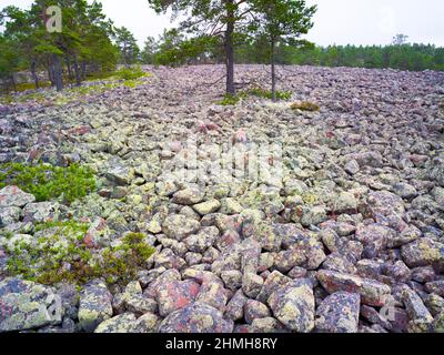 Europa, Svezia, Svezia settentrionale, provincia di Angermanland, patrimonio naturale mondiale dell'UNESCO "Höga Kusten" Foto Stock