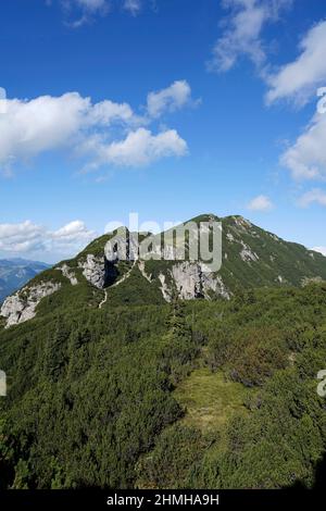 Austria, Tirolo, Monti Kaiser, Kaiserbachtal, Zahmer Kaiser, Feldberg, 1813m Foto Stock