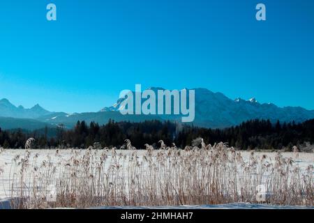 Escursione invernale sul Barmsee, i cristalli di neve incantano il paesaggio invernale da sogno, sullo sfondo i Monti Wetterstein, Schilff, Germania meridionale, alta Baviera, neve, Inverno, neve, alberi, Germania, Baviera, Werdenfels, Krün Foto Stock