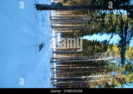 Escursione invernale tra Krün e Wallgau, cristalli di neve incantano il paesaggio invernale sognante, Germania meridionale, alta Baviera, neve, inverno, Nevoso, alberi, Germania, Baviera, Werdenfels, Krün Foto Stock