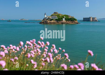 Ile Louët con faro e casa del custode, sullo sfondo Château Taureau, vicino a Carantec nella baia di Morlaix, Francia, Bretagna, dipartimento del Finistère Foto Stock
