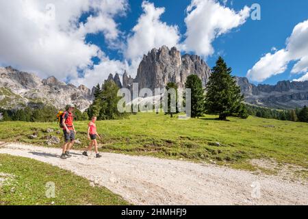 Tires, Tierser tal, Provincia di Bolzano, Dolomiti, Alto Adige, Italia. Escursionisti che discendono dall'Haniger Schwaige, sullo sfondo le Torri Vajolet e la Rosengartensspitze Foto Stock