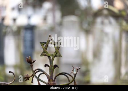 Germania, Sassonia-Anhalt, Magdeburg, cimitero ebraico, una stella di David può essere visto su una tomba. Foto Stock