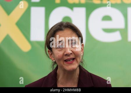 Ingrid Betancourt, politico francese-colombiano del partito politico "Partido Verde Oxigeno", parla durante una conferenza stampa della sua candidatura Foto Stock