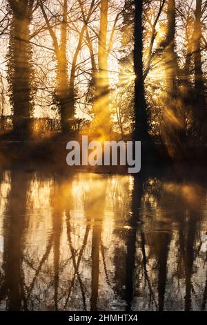 Raggi di luce del sole attraverso la nebbia all'alba con alberi di sagome riflessi nel Tamigi, Lechlade-on-Thames, Cotswolds, Gloucestershire, Inghilterra, REGNO UNITO Foto Stock