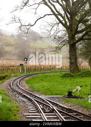 Una curva in una sezione della stretta Ravenglass e Eskddale Railway nel Lake District in una giornata fredda e nebbiosa Foto Stock