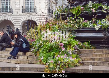 Londra, Inghilterra, Regno Unito. 10th Feb 2022. La Shaftesbury Memorial Fountain di Piccadilly Circus, conosciuta come Eros, è stata ricoperta di piante e fiori prima del lancio della Green Planet AR Experience della BBC, che aprirà il 11th febbraio. (Credit Image: © Vuk Valcic/ZUMA Press Wire) Foto Stock