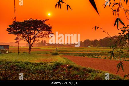 Tramonto drammatico e colorato in inverno. Questa immagine è stata catturata da me il 31 gennaio 2022, da Kolatia, Bangladesh, Asia meridionale Foto Stock