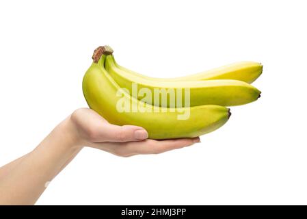 Un mazzo di banane in mano donna isolato su sfondo bianco. Foto Stock