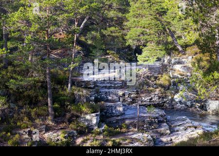 RIVER LUI MAR LODGE ESTATE BRAEMAR SCOZIA PINI SCOZZESI PINUS SYLVESTRIS E FORMAZIONI ROCCIOSE COPERTE DI LICHENI Foto Stock