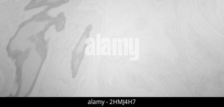 Primo piano marmo di granito Grigio chiaro colori Abstract Texture usato come materiale di texture Foto Stock