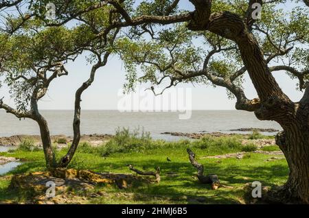 Colonia del Sacramento, Uruguay - 14th gennaio 2022 - Colonia del Sacramento in Uruguay, importante località turistica. Foto Stock