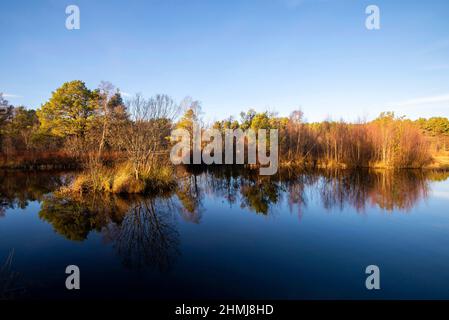 Sole pomeridiano a Milton Loch nella barca di Garten, Badenoch e Strathspey, Scozia, Regno Unito Foto Stock