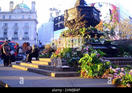 Piante e fiori coprono la Shaftesbury Memorial Fountain, spesso conosciuta come 'Eros', in Piccadilly Circus, Londra, Inghilterra, Regno Unito. Questo pubblicizza l'apertura di un'esperienza di realtà aumentata di Green Planet a Piccadilly Circus il 11th febbraio 2022. Tra i partner e i sostenitori del progetto figurano BBC Earth, EE, Crown Estate, Factory 42, Kew Royal Botanic Gardens, Talesmith e Dimension. Il progetto offre la prenotazione di biglietti gratuiti online e si svolge fino al 9th marzo 2022. Le persone si siedono sulla statua e si godono il sole nel tardo pomeriggio. Foto Stock