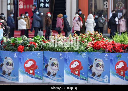 Pechino, Cina. 10th Feb 2022. Poster di 'Bing DWEN DWEN' e 'huey Rhon Rhon' le mascotte dei Giochi Olimpici invernali 24th e dei Giochi Paralimpici invernali visti in Wangfujing Street. I Giochi Olimpici invernali del 24th si sono svolti nel febbraio 2022 a Pechino, in Cina. La città è piena di atmosfera festiva con il logo olimpico invernale e i poster della mascotte 'Bing DWEN DWEN' intonacati nelle strade di Pechino. Credit: SOPA Images Limited/Alamy Live News Foto Stock