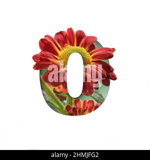 Numero zero forma tagliata isolata su bianco. Silhouette di numero nullo con fiori di crisantemo Foto Stock