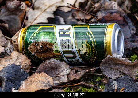 lattina di birra nella foresta Foto Stock