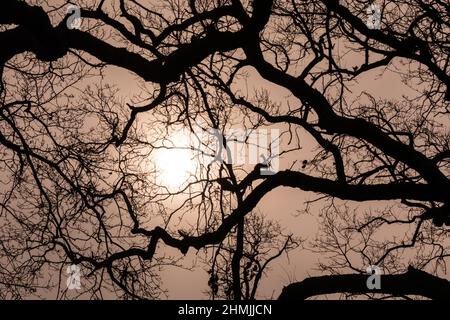 Surrey, Regno Unito, 10th Feb 2022. Il sole nebuloso si infrange attraverso le nuvole in un pomeriggio freddo ma generalmente luminoso nel sud-ovest di Londra. Foto Stock