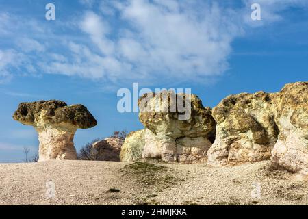 Il fenomeno naturale funghi di pietra si trova nella montagna di Rhodopi, Bulgaria Foto Stock