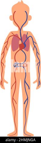 Sistema cardiovascolare umano. Figura uomo con anatomia interna Illustrazione Vettoriale