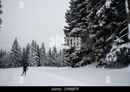 Langläufer in winterlicher Märchenlandschaft im Waadtländer Jura Foto Stock