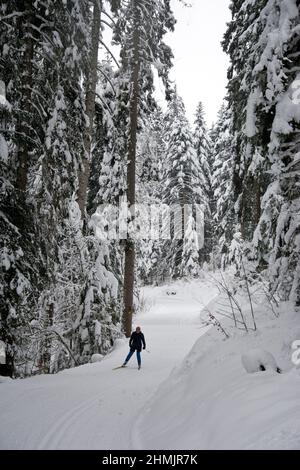 Langläufer in winterlicher Märchenlandschaft im Waadtländer Jura Foto Stock