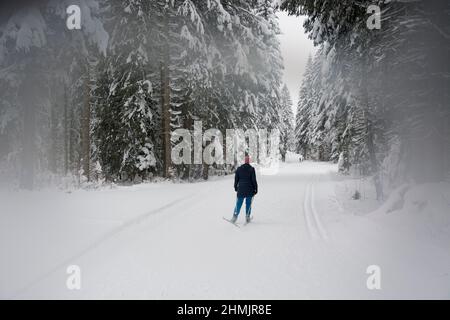 Langläufer in winterlicher Märchenlandschaft im Waadtländer Jura Foto Stock